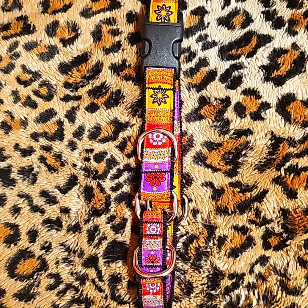 RC Pet Products East Clip Web Training Collar Orange Red Purple